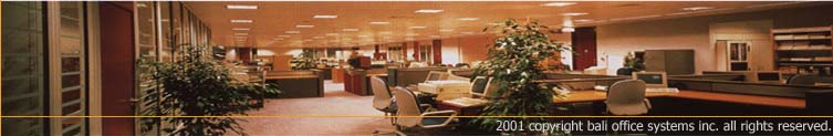 Bali Office Systems